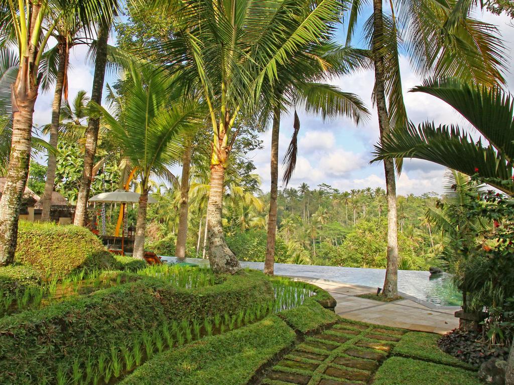 Toya Retreat Villa Tegallalang  Luaran gambar